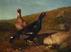 J. C. Bell (British fl.1857 - 1868), Two pheasants in a landscape