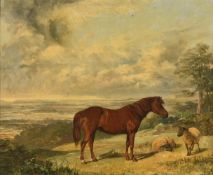 George Bouverie Goddard (British 1832-1886), Portrait of a horse in a landscape, with two sheep