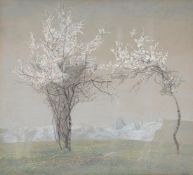 Emilie Mediz-Pelikan (Austrian 1861-1908), Blossom trees