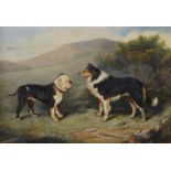 Edward Lloyd (British 1818-1901), A collie and a bulldog