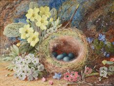 Vincent Clare (British 1855-1930), Still lives with birds nest and fruit (2)