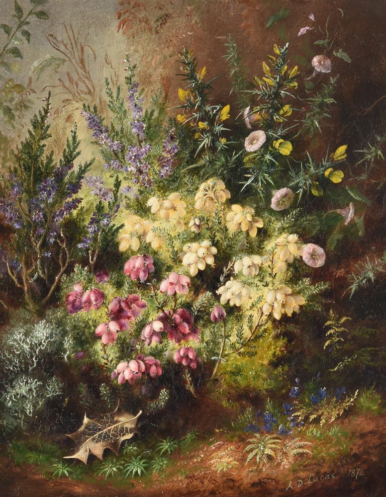 Albert Durer Lucas (British 1828-1919), Heather and gorse on a mossy bank