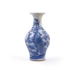 A Chinese blue and white 'Pheonix' vase