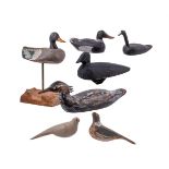 A group of seven decoy ducks and decoy pigeons