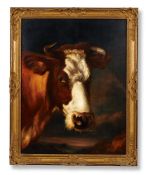 THOMAS SIDNEY COOPER R.A. (BRITISH 1803-1902), HEAD OF A COW