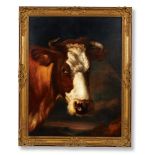 THOMAS SIDNEY COOPER R.A. (BRITISH 1803-1902), HEAD OF A COW