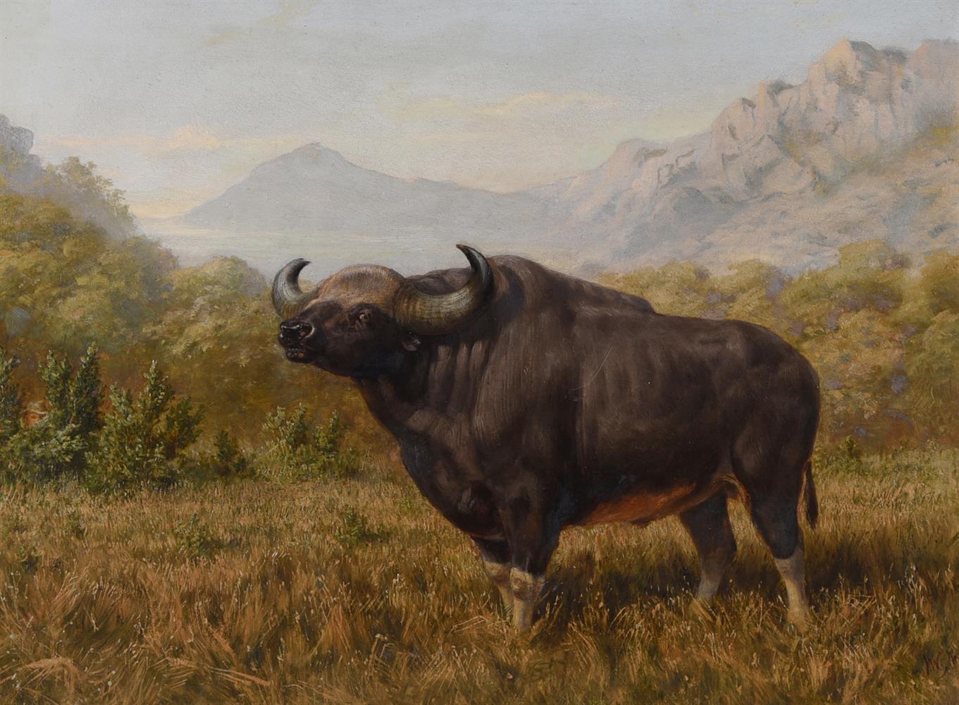 JOSEPH WOLF (GERMAN 1820-1899), THE BIG BULL BISON - Image 2 of 3