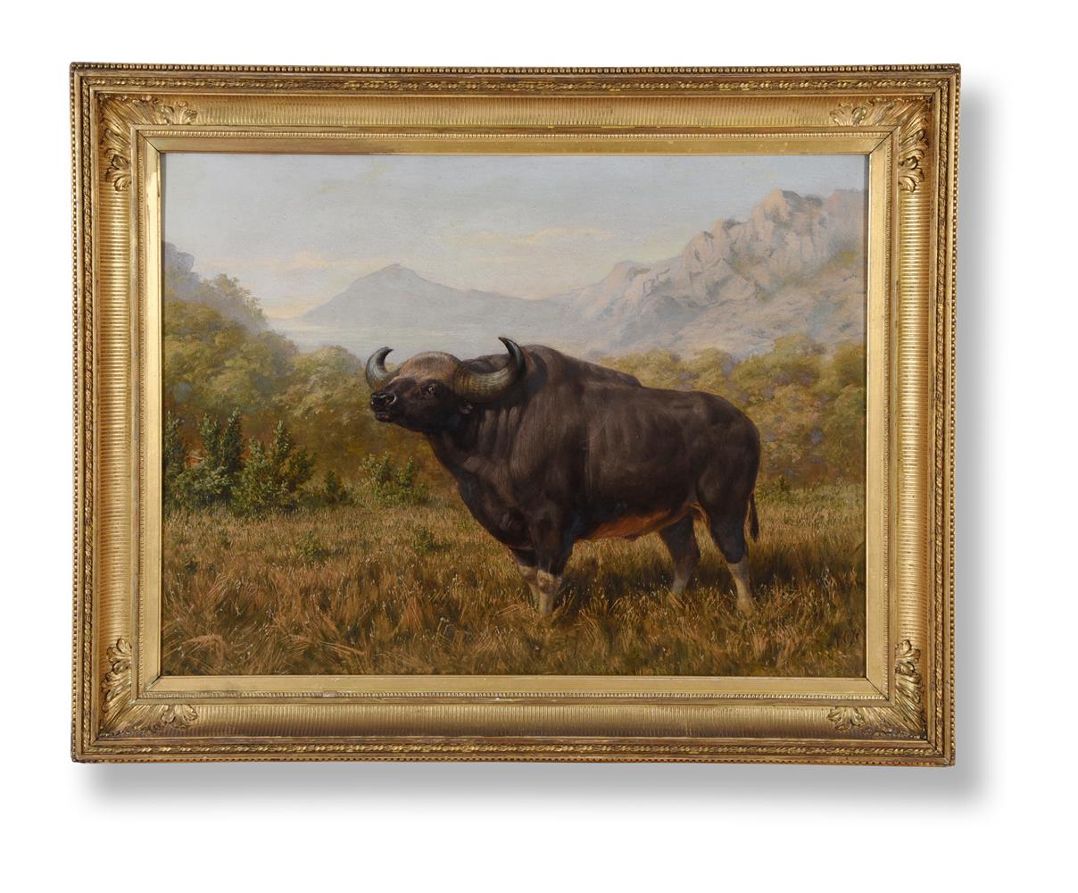 JOSEPH WOLF (GERMAN 1820-1899), THE BIG BULL BISON