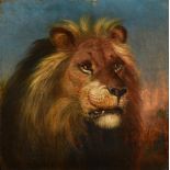 ATTRIBUTED TO WILLIAM HUGGINS (BRITISH 1824-1910), THE HEAD OF A LION