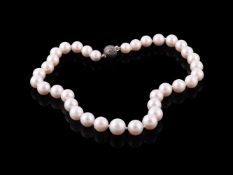 A South Sea cultured pearl necklace