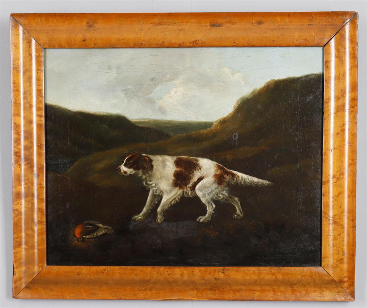 J Freeman (Early 19th century British) 'Springer or Setter Spaniel'