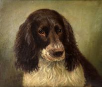 Henry Crowther (British c. 1905-1939), Head of a spaniel