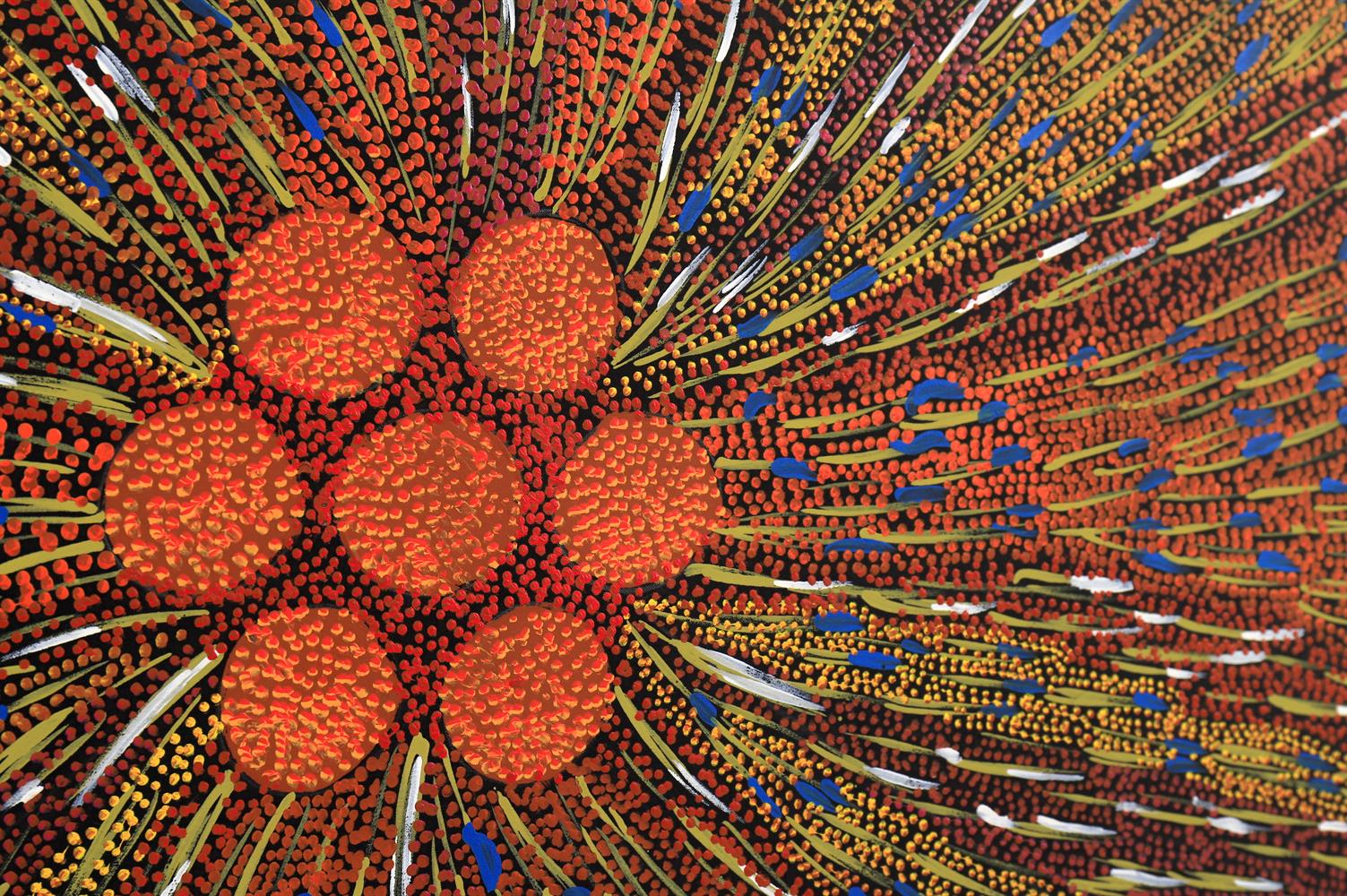 Janet Forrester Ngala (Australian Aboriginal C.1954-) Abstract- seed pattern - Image 5 of 8