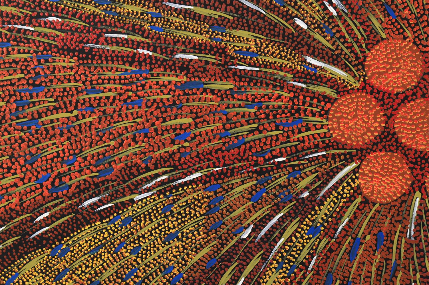 Janet Forrester Ngala (Australian Aboriginal C.1954-) Abstract- seed pattern - Image 7 of 8