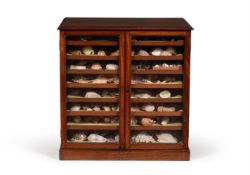 A GEORGE IV MAHOGANY COLLECTOR'S CABINET, CIRCA 1825