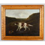 J Freeman (Early 19th century British) 'Springer or Setter Spaniel'