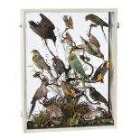 Y A white painted cased diorama of exotic birds