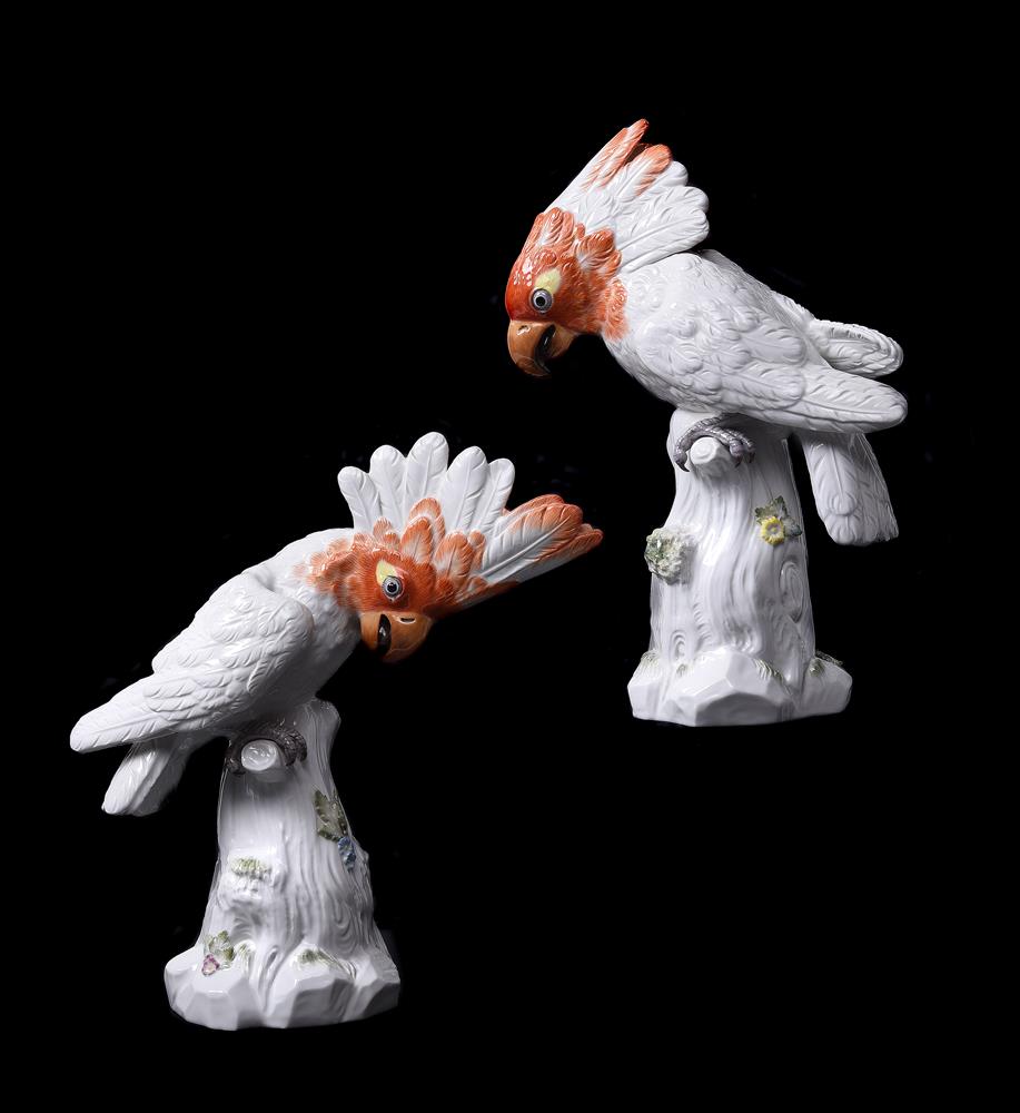 A pair of modern Meissen cockatoos