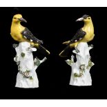 A pair of Meissen-style figures of Golden Orioles