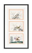 Twelve Chinese Export 'Bird' paintings