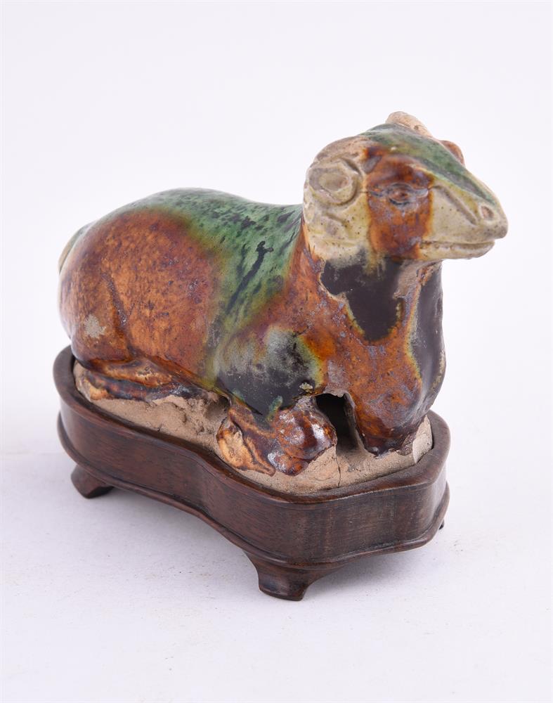 An attractive Chinese Sancai-glazed model of a ram - Image 2 of 4