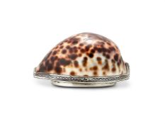 A VICTORIAN SILVER AND AGATE MOUNTED COWRIE SHELL SNUFF BOX BY ALFRED TAYLOR
