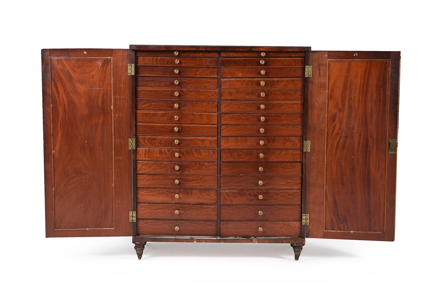 Y A GEORGE IV ROSEWOOD AND GILT BRONZE MOUNTED COLLECTOR'S CABINET, CIRCA 1825 - Image 2 of 5