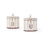 Y A RARE PAIR OF GEORGE III IVORY AND TORTOISESHELL STRUNG OCTAGONAL TEA CADDIES, CIRCA 1800