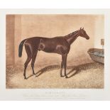 After Hunt Snr., after the engraving by Hunt & Son, Two decorative racehorse prints
