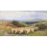 George Shalders (British 1826-1873), Herding a flock of sheep