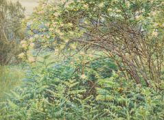 Woodbine K. Hinchcliff (British fl. 1895 -1913), Wild roses and bracken