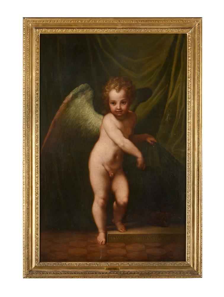 Follower of Andrea del Sarto, Cupid - Image 2 of 3