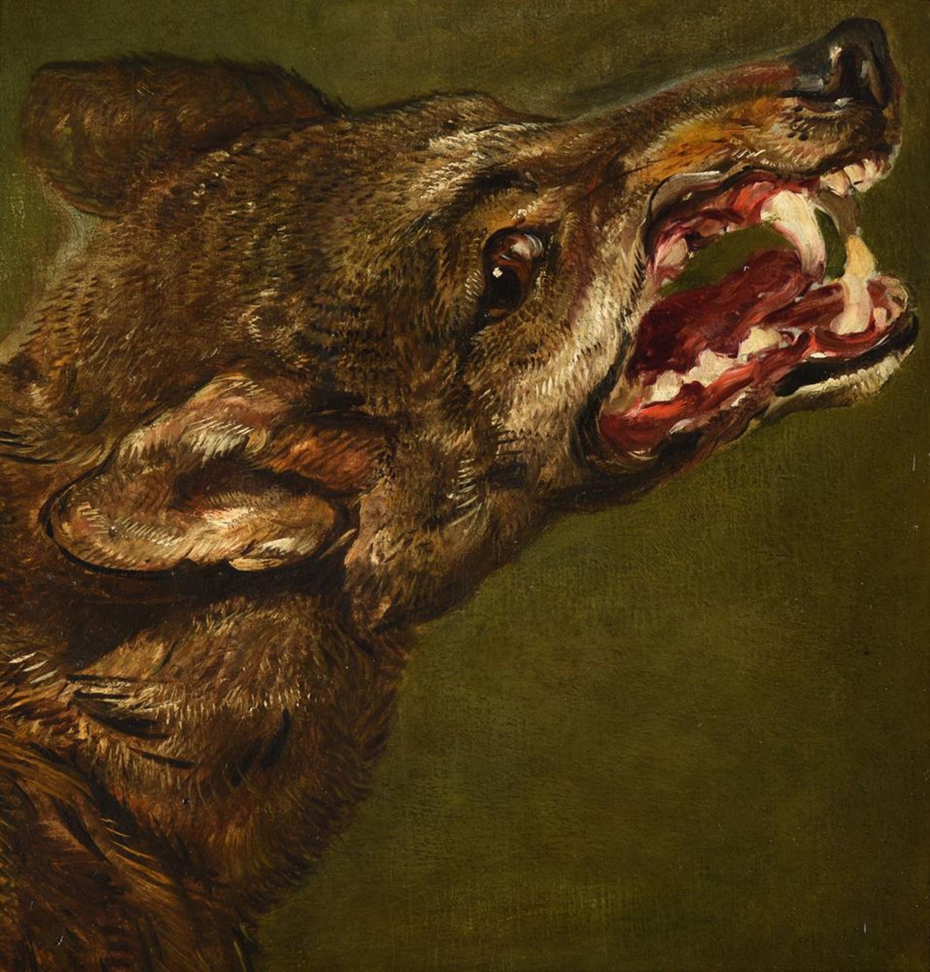 Jan Fyt (Flemish 1611-1661), Head of a wolf