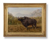 Joseph Wolf (German 1820-1899), The big bull bison