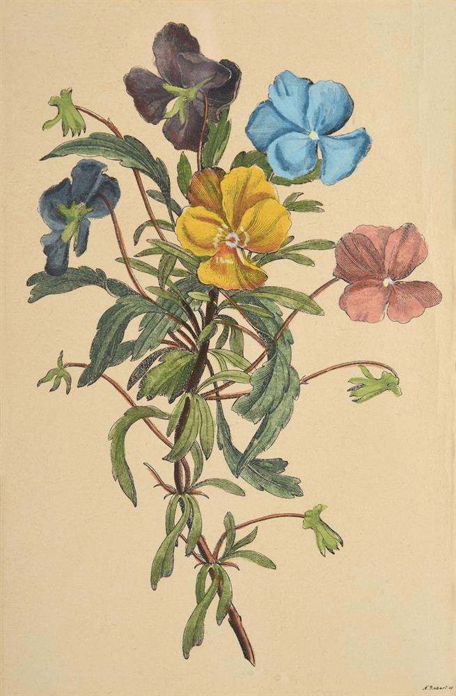 Three floral prints with hand-colouring - Image 3 of 6