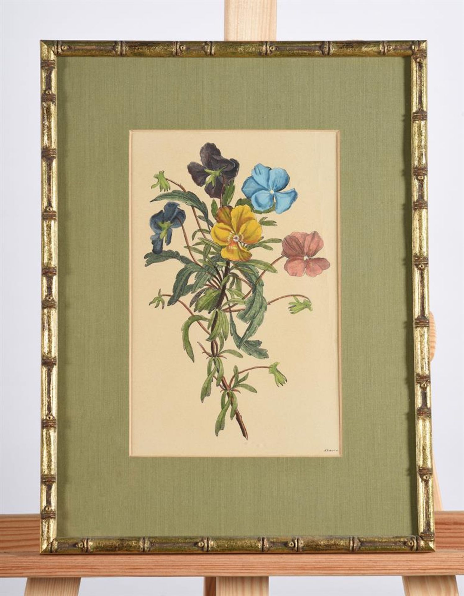 Three floral prints with hand-colouring - Image 5 of 6