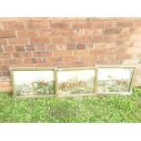 Set of 3 early 20th century gilt framed hunting prints.