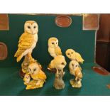 Small collection of various Leonardo and other owl figurines, largest 36cm.