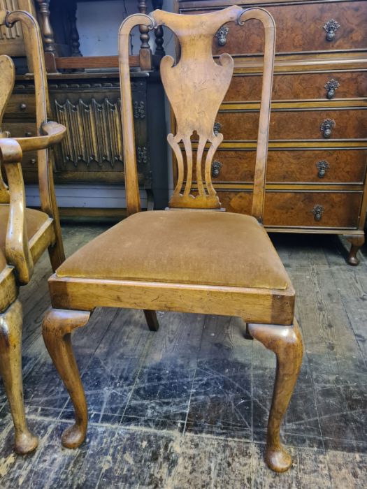 A pair of Victorian burr walnut vase splat, Queen Ann leg, dining chairs. - Image 4 of 4