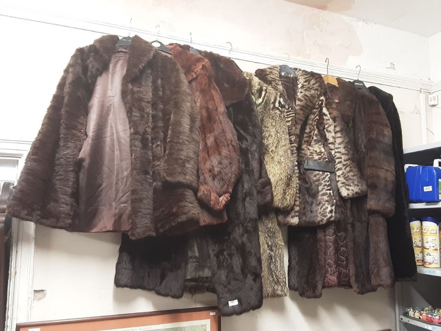 A collection of real and faux fur animal skin coats, jackets and stoles.