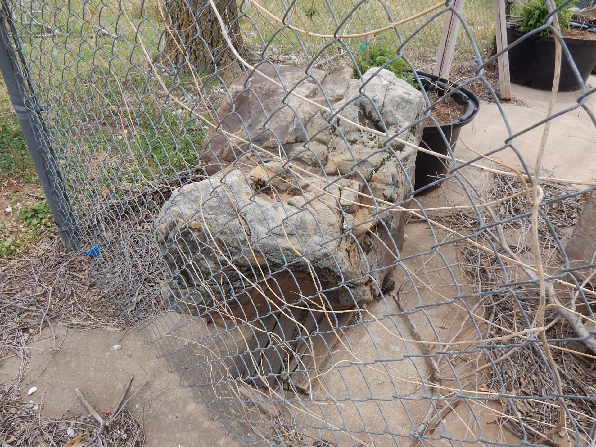 LOT (10) LANDSCAPE BOULDERS - Image 4 of 5