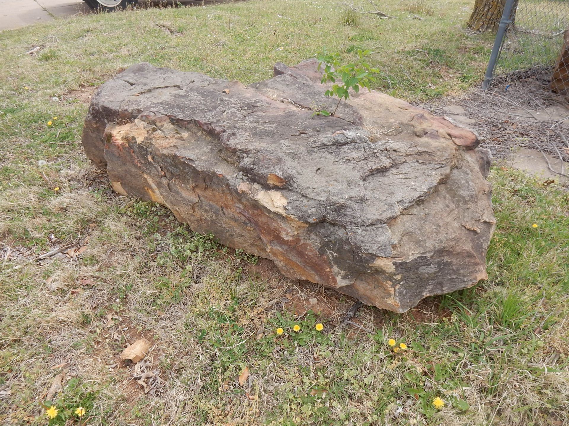 LOT (10) LANDSCAPE BOULDERS - Image 3 of 5