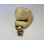 NETSUKE en ivoire sculpté d'un petit personnage portant une coloquinte démesurée. Japon, époque
