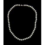 Single strand grey cultured pearl necklace, with 9ct white gold clasp stamped 375, with insurance va