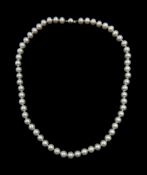 Single strand grey cultured pearl necklace, with 9ct white gold clasp stamped 375, with insurance va