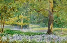 Albert H Poppleton (British exh.1928): Bluebell Meadow, watercolour signed