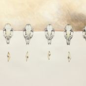 Joanna Denby (Northern British Contemporary): 'Caught in Time and Space', watercolour signed, titled