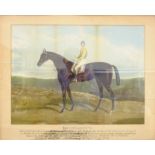 'Isonomy', hand-coloured aquatint pub. Hunt & Son c.1879-1882, inscribed with details of the horse a