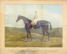 'Isonomy', hand-coloured aquatint pub. Hunt & Son c.1879-1882, inscribed with details of the horse a