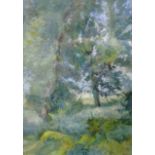 Jacques Henri Juillerat (Swiss 1777-1860): Woodland, watercolour signed 40cm x 28cm